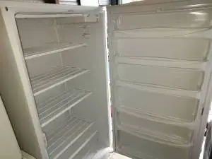 Frigidaire 21 Cu. Ft. Upright Freezer FFFU21M1QW