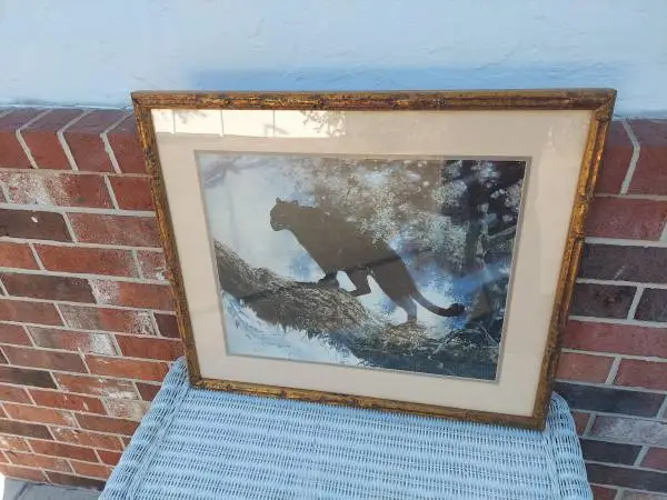 Panther Print in Nice Gold Frame
