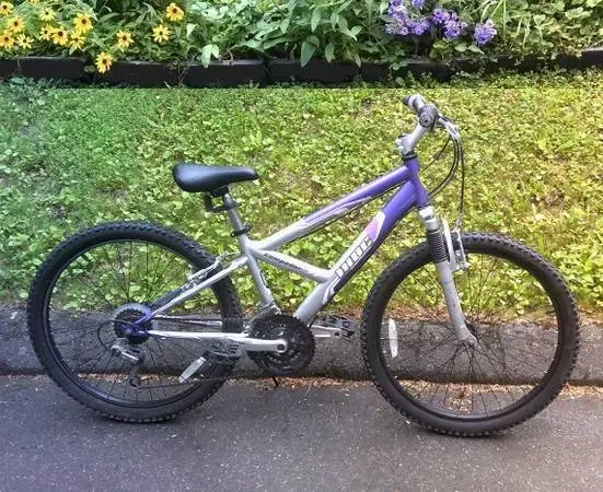 IRON HORSE! - NEW WHEELS! - TUNED UP! - LOW PRICE!