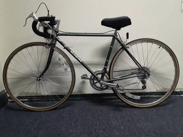 Mens Classic 12-Speed Schwinn Traveler