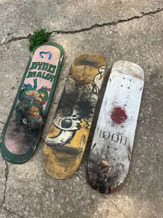 Skate broads