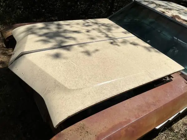 1967 BUICK SKYLARK, SPECIAL, GS HOOD