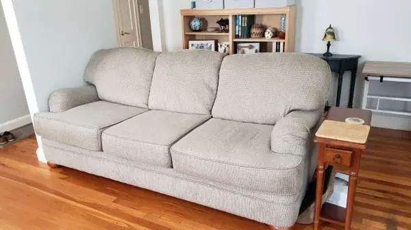 Sofa and Chair Excellent Shape