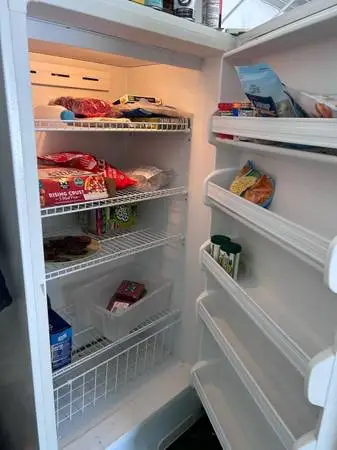 GE upright commercial freezer