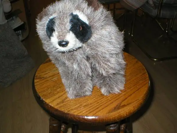 Hand puppet, Racoon