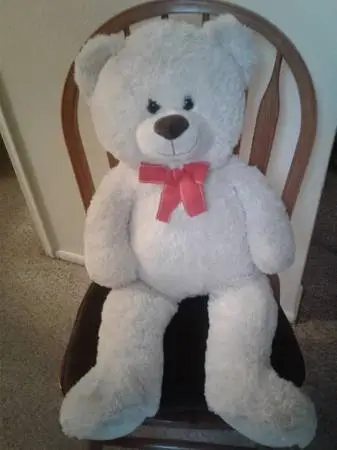 2 foot 6 inch Large TEDDY BEAR