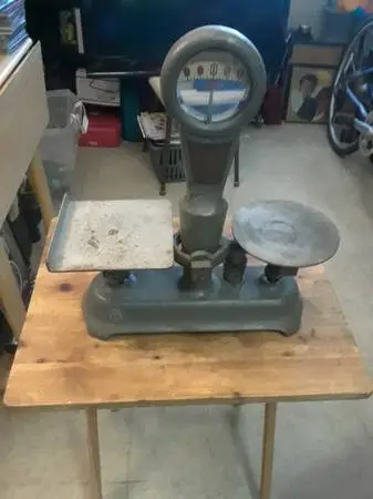 detecto scale