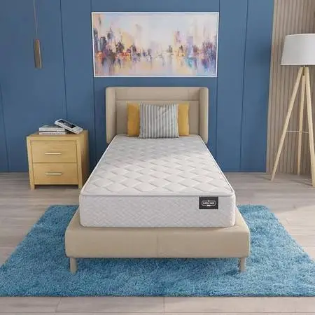 Twin Mattress (New, in box)