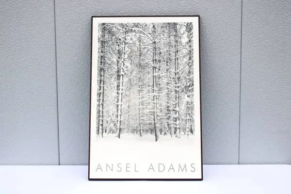 1932 Ansel Adams Pine Forest in Snow Yosemite National Park Photograph