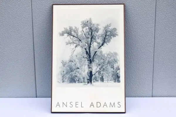 1948 Ansel Adams Oak Tree Snowstorm, Yosemite National Park Photograph