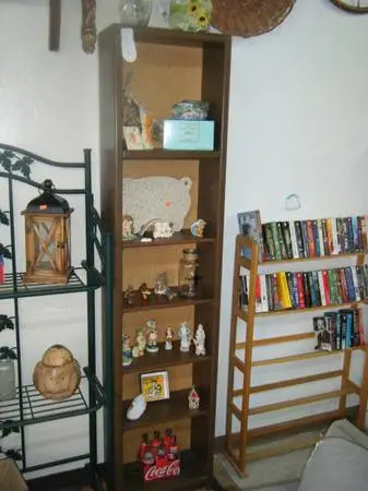 Bookcase Or Shelf