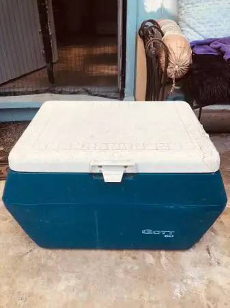 Gott 50 large 50 quart cooler