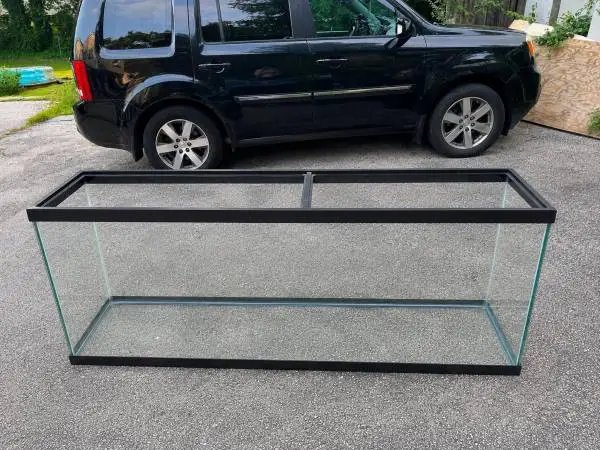 fish tank aquarium
