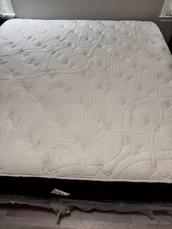Intellibed King Mattress, Box Springs, & Bed Rails