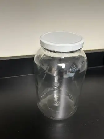 Paksh Novelty 1-Gallon Wide-Mouth Glass Jar with Lid (x4)
