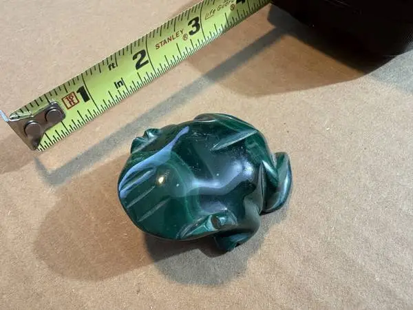 Malachite Green Turtle / From Africa / 2+ Inches / Excellent