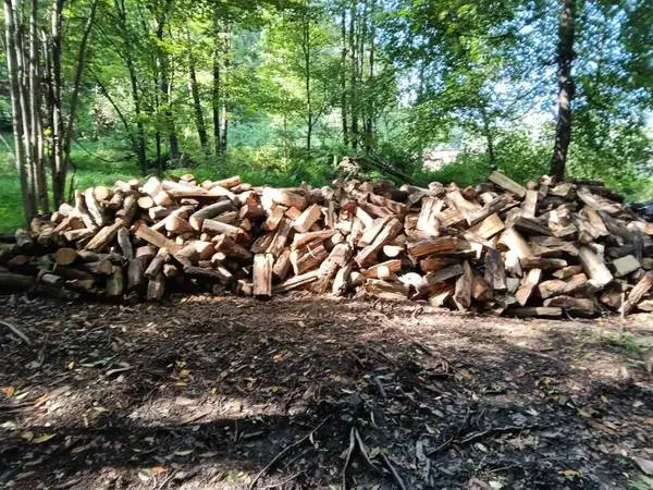 Hardwood firewood for sale ( fire wood )