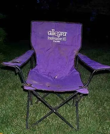 CHAIR Camping Patio ALLEGRA DRUG PROMO Folding Purple Color Furniture