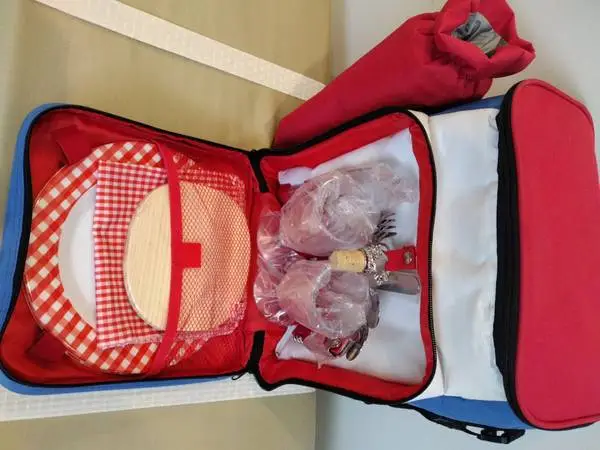 Insulated Cooler Backpack Bag w/2 Place Settings for Wine Cheese