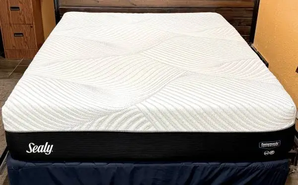 Queen Sealy Posturepedic Plush Foam mattress Box Spring Mattress Protector