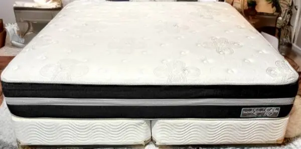 King Doctors Choice Elite Plush Mattress Box Springs