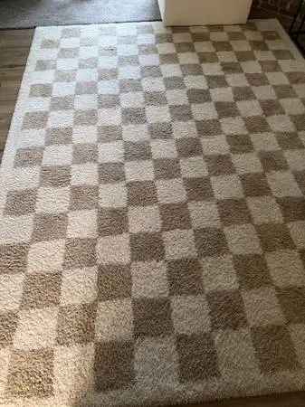 Area rug (Signature design by Ashley)