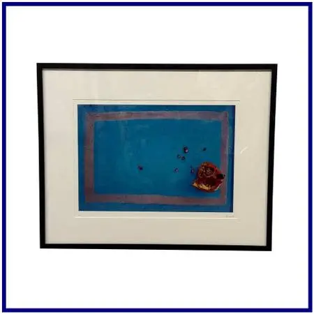Jeffrey Becom Maya Color Pomegranate Ltd. Ed. Photograph, Signed