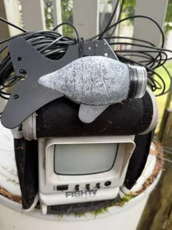 FISH TV