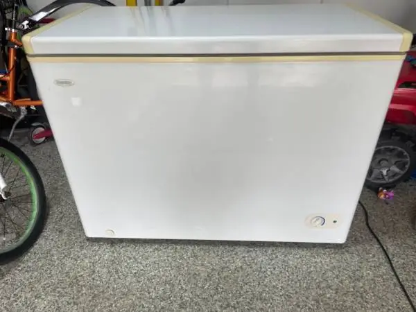 Danny chest freezer