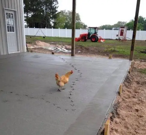 Concrete, Foundations, Dirt work Licensed & Insured