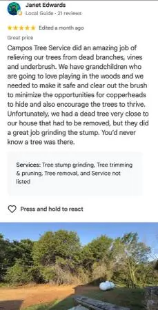 Tree removal and trimming services, even 30% discount!.
