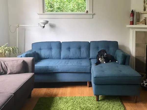 Blue Sectional Couch