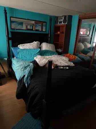 Queen size canopy bed black wood frame