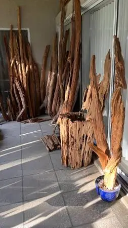 DRIFTWOOD -WOODNT MISS IT!