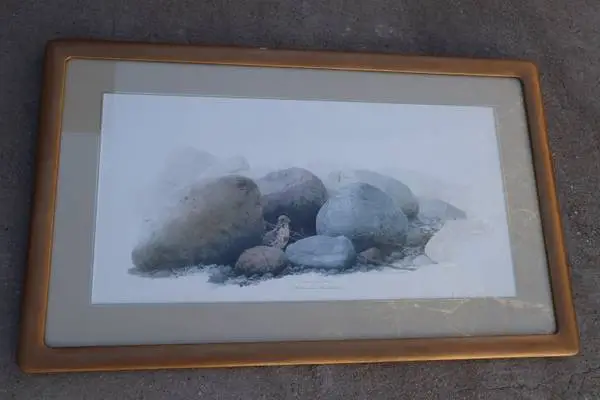 Fox in Rocks by Heather Dieter Bartmann print 49/300