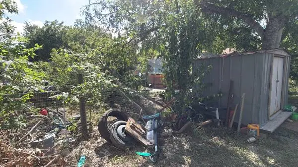 Tree Property Safe