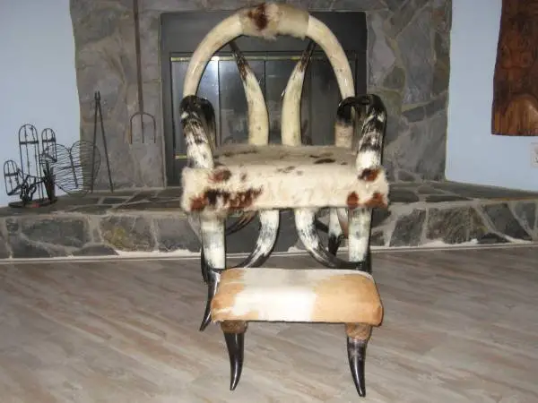 Horn Cowhide Chair