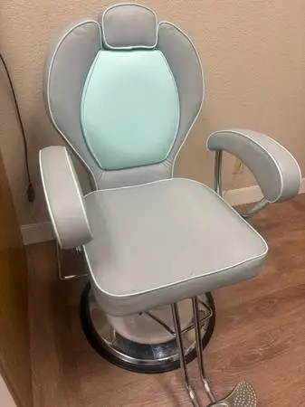 Salon/Barbering Chairs