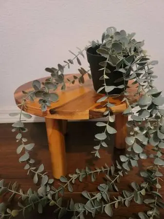 Brand New Plant stand for sale