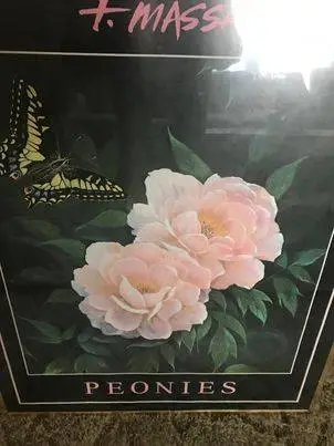 2 Pieces of Framed Art in Excellent Condition