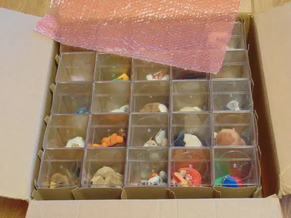 TY Beanie Baby Retired Lot of 25 All In Cases - Tag Covers Mint