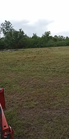 Acerage to cut or vacant lots