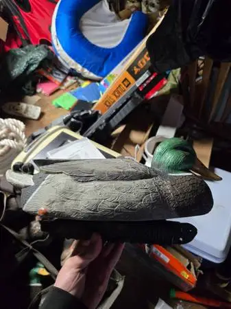 Duck decoys