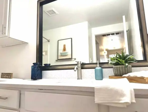 Beautiful 1 Bed / 1 Bath Layout, Tons of Light. Call for a Tour!