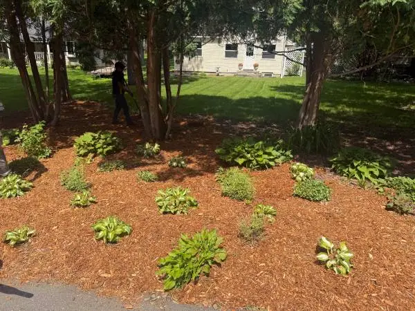 YEAR-ROUND PROPERTY MAINTENANCE – COMMERCIAL & RESIDENTIAL 🌿 H&S Law