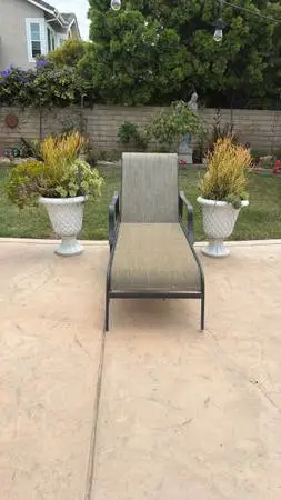Two  planters with Succulent plants