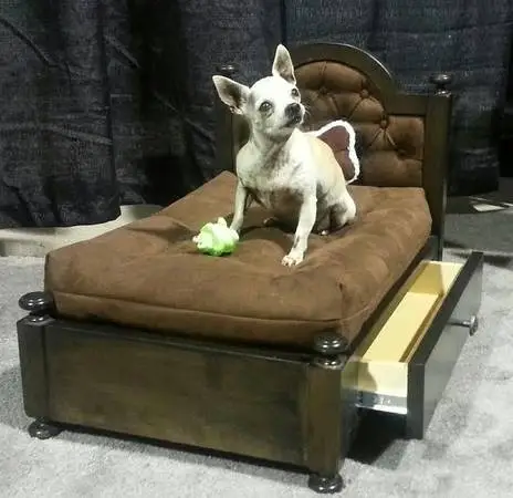 Furniture (Pet Beds)