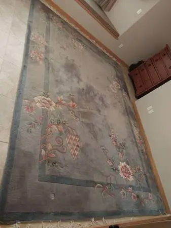 Rug Carpet