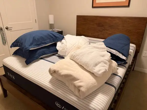 Queen Platform Bed and mattress