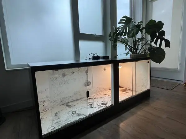 2 x 5 reptile enclosure, lights, heater, and thermostat
